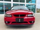 Thumbnail Photo 3 for 1999 Ford Mustang Cobra Coupe